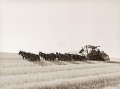 combine-Twenty mule-fields-wheat.jpg
