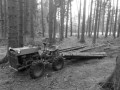 Traktor_v_lese_1.jpg